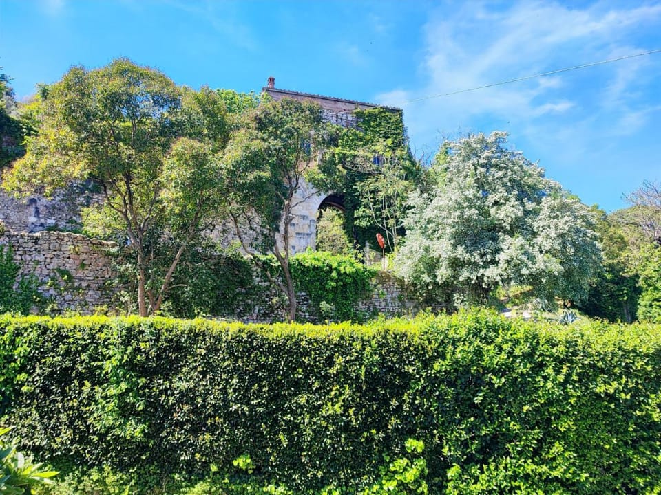 dishwasher, microwave, oven, stove, kitchen