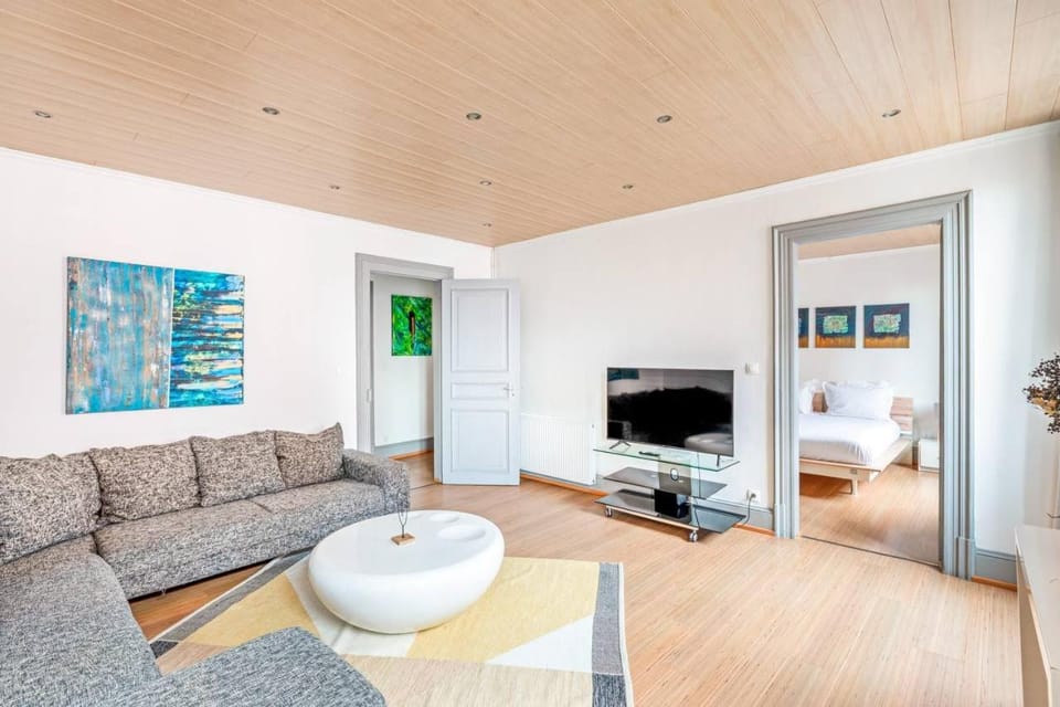 By FLB PROPERTY - La Maison Dorée Apartment in Mulhouse