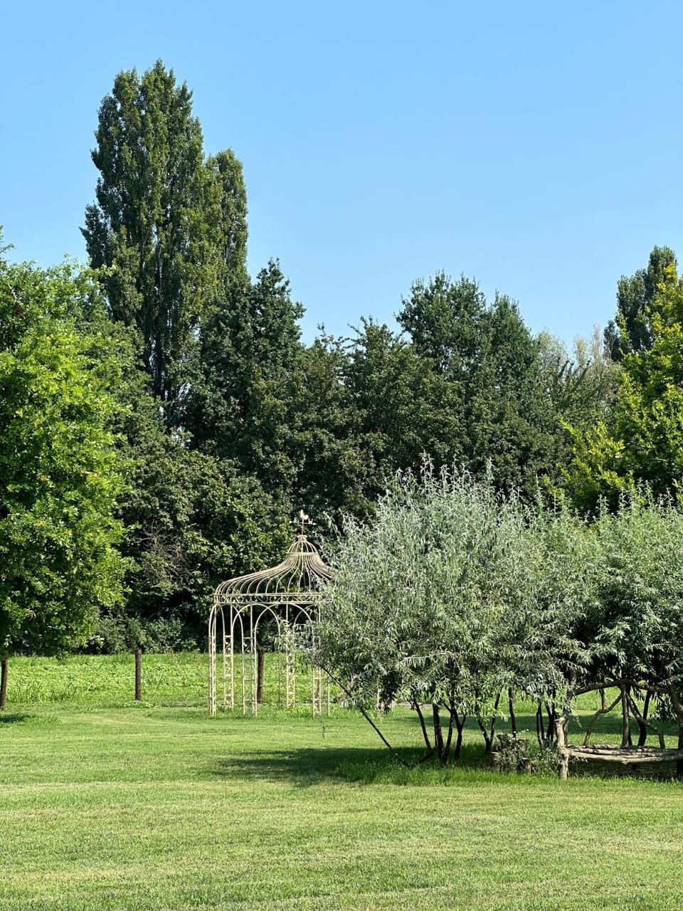 Patio, Spring, Day, Natural landscape, Garden, Garden view
