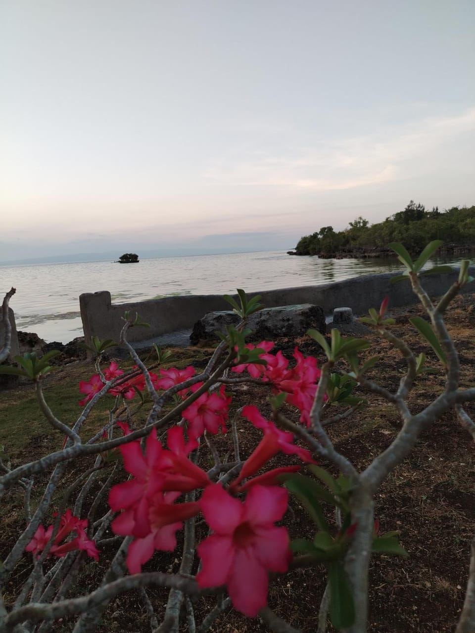 Siloza-kha Apartment in Siquijor