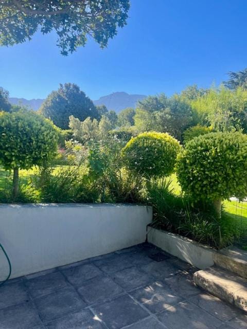 Garden view