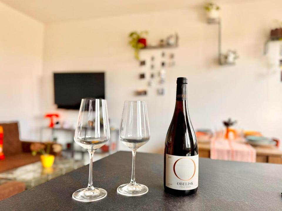 Center Flat With View - Kitchen, AC, Netflix Apartment in Brno