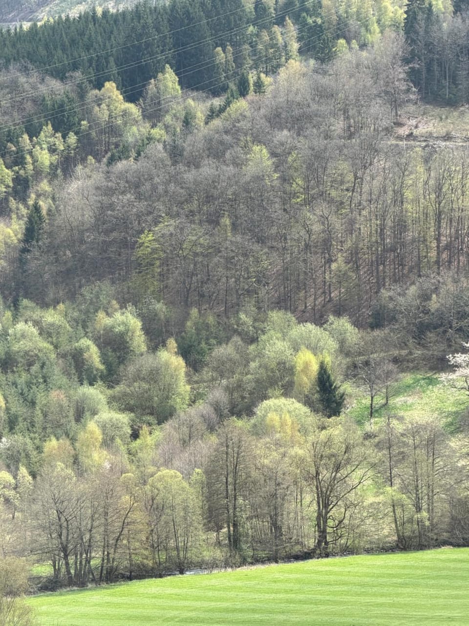 View (from property/room)
