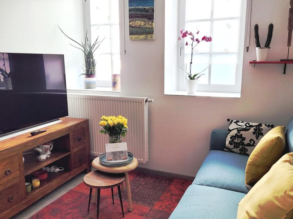 Appartement cosy T2 a 12 mn de DOLE dans le JURA Apartment in Jura