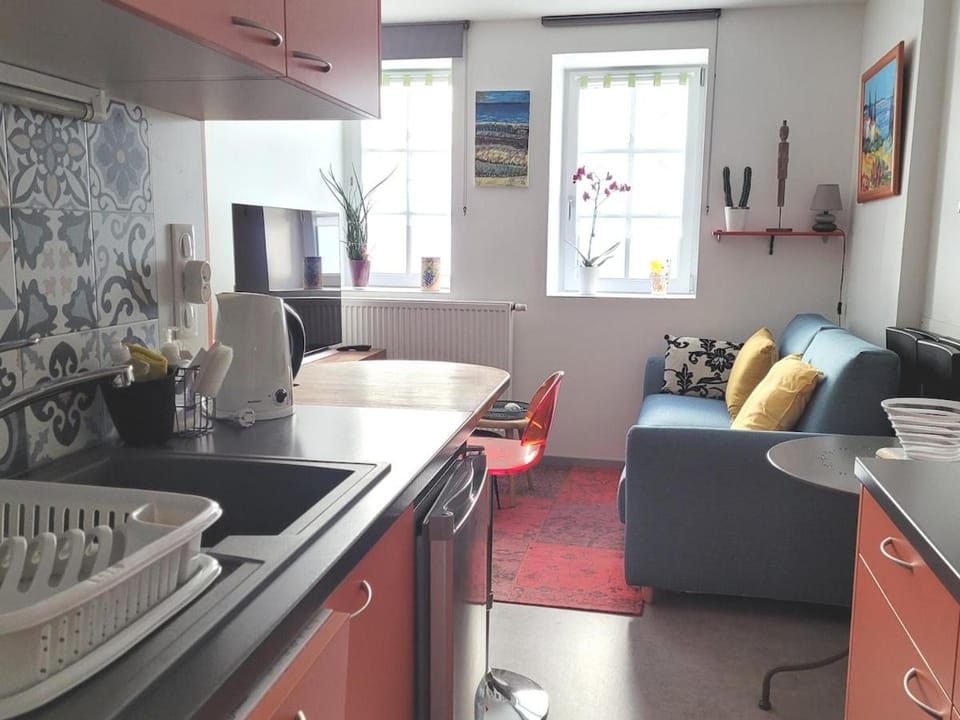 Appartement cosy T2 a 12 mn de DOLE dans le JURA Apartment in Jura