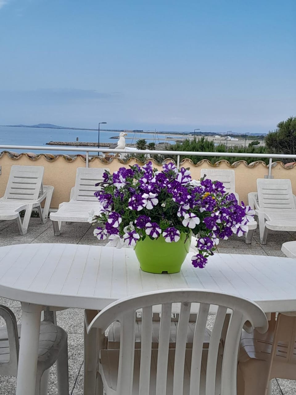 superbe terrasse face à la mer Apartment in Occitanie