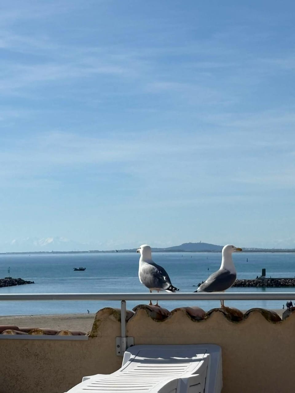 superbe terrasse face à la mer Apartment in Occitanie