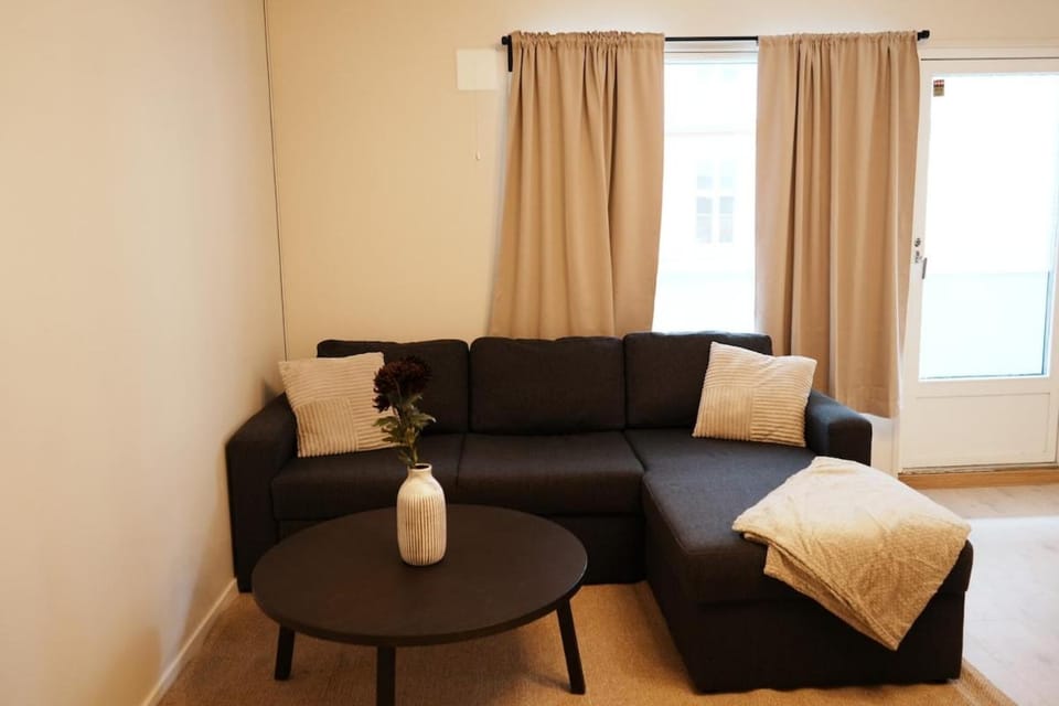 Modern spacious Apartment in Tøyen Apartment in Oslo