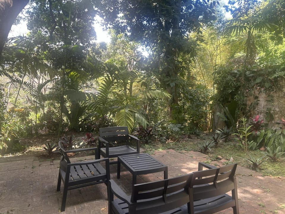Patio, Spring, Day, Garden, Dining area, Garden view