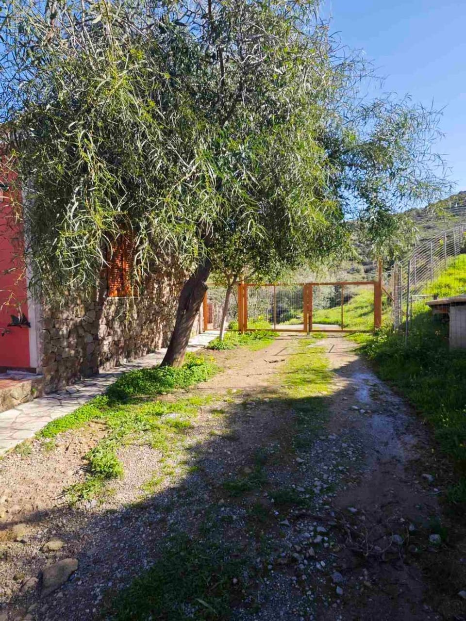 Garden, Parking