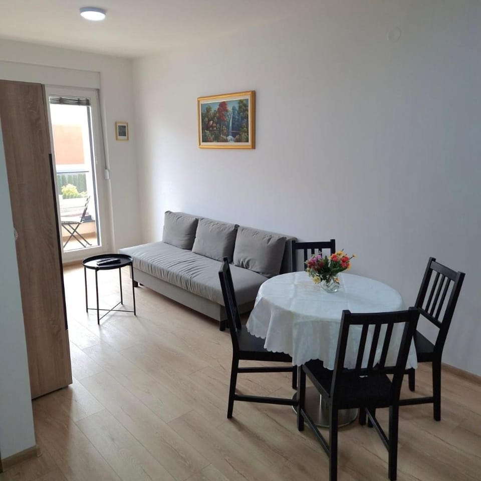 Silver Nest Apartment in Serbia