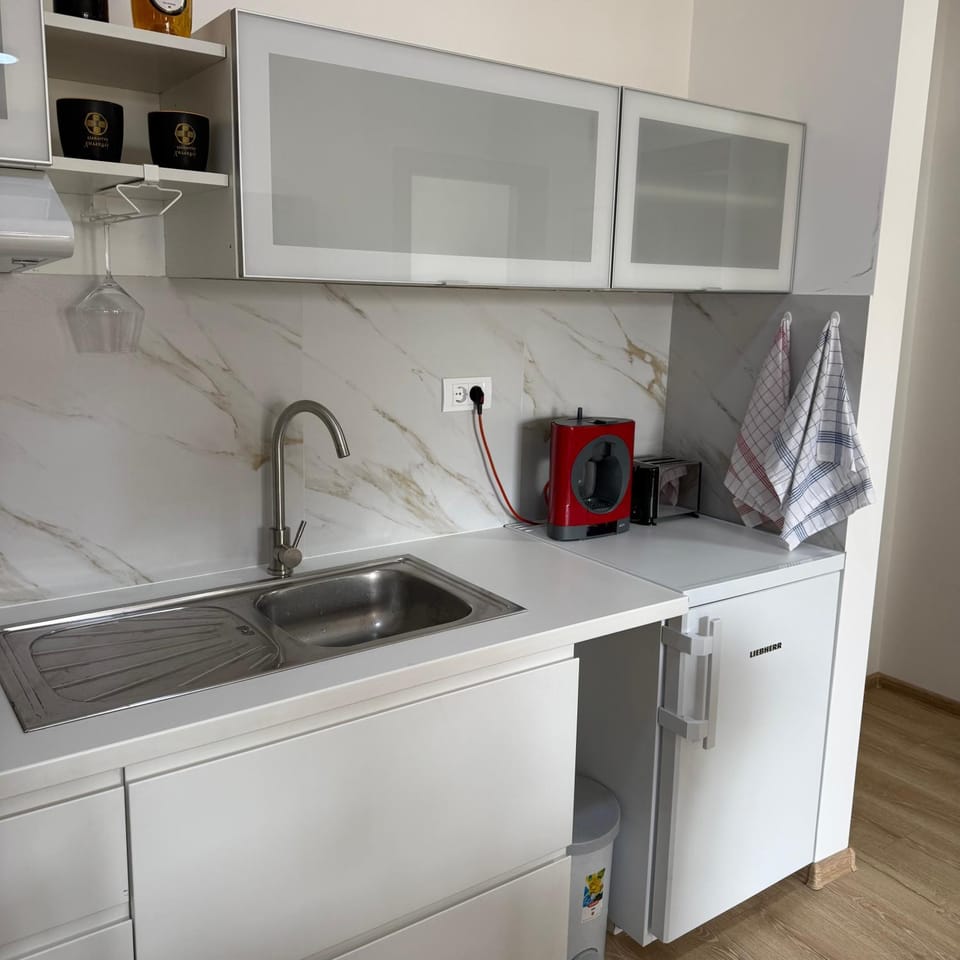 Silver Nest Apartment in Serbia