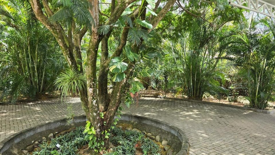 Casa Marino Ballena - Pool, Gym, Outdoor Bar, Private Villa in Uvita