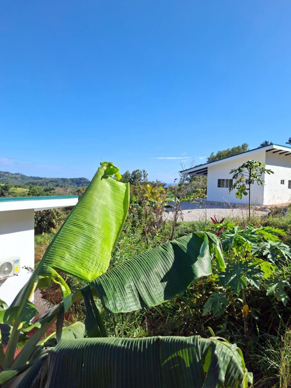 Pura Vista Lodge Villa in Guanacaste Province