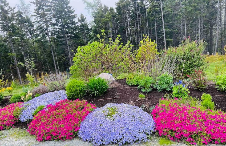 Hidden Acadia - Close to Ocean & Bass Harbor Light Apartment in Southwest Harbor