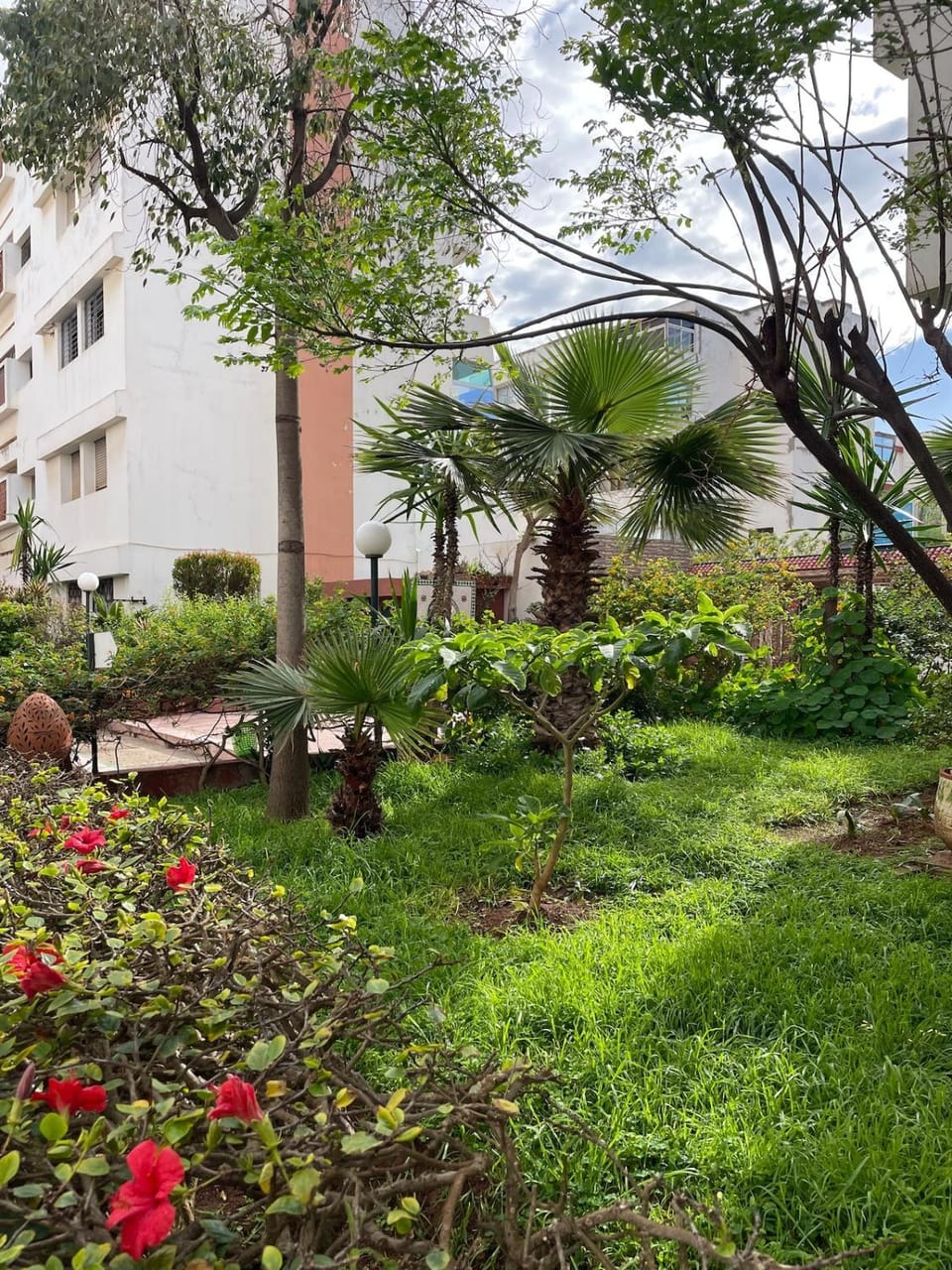 Garden view