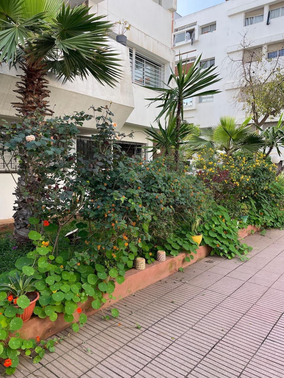 Cozy Beachfront 2BR in Rabat - Central & Secure Apartment in Rabat
