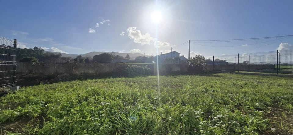 Natural landscape, Garden view