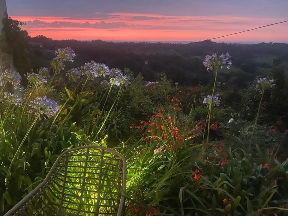 Garden view