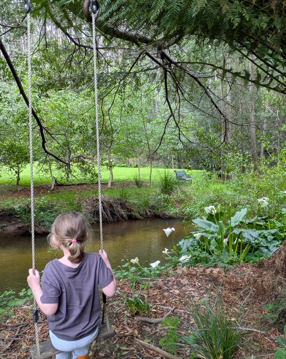 Natural landscape, Garden, River view, children