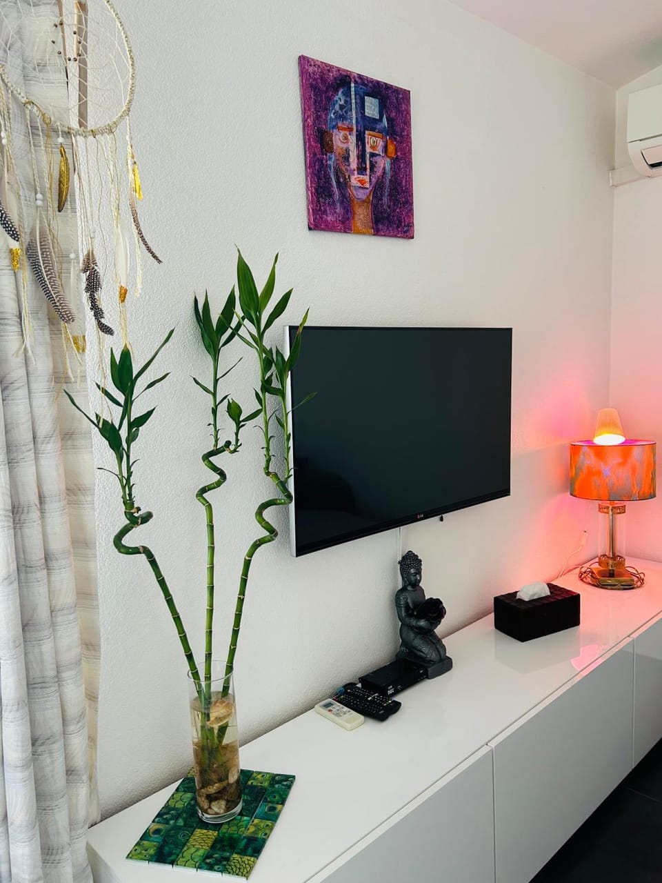 TV and multimedia, air conditioner