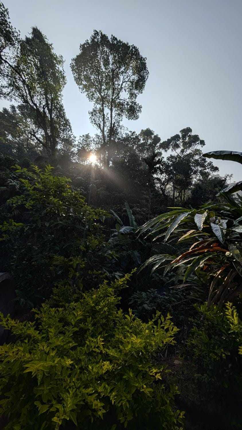 Day, Natural landscape