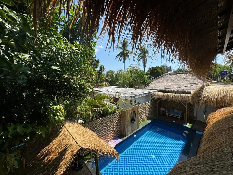 Day, Garden, Garden view, Pool view, Swimming pool