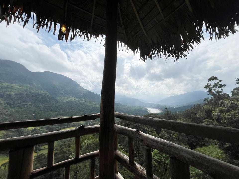 View (from property/room), River view