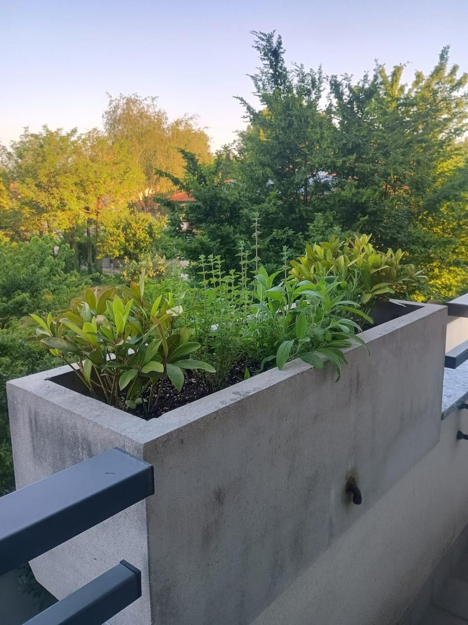Monolocale posteggio gratuito vicino a Rho Fiera Apartment in Lainate