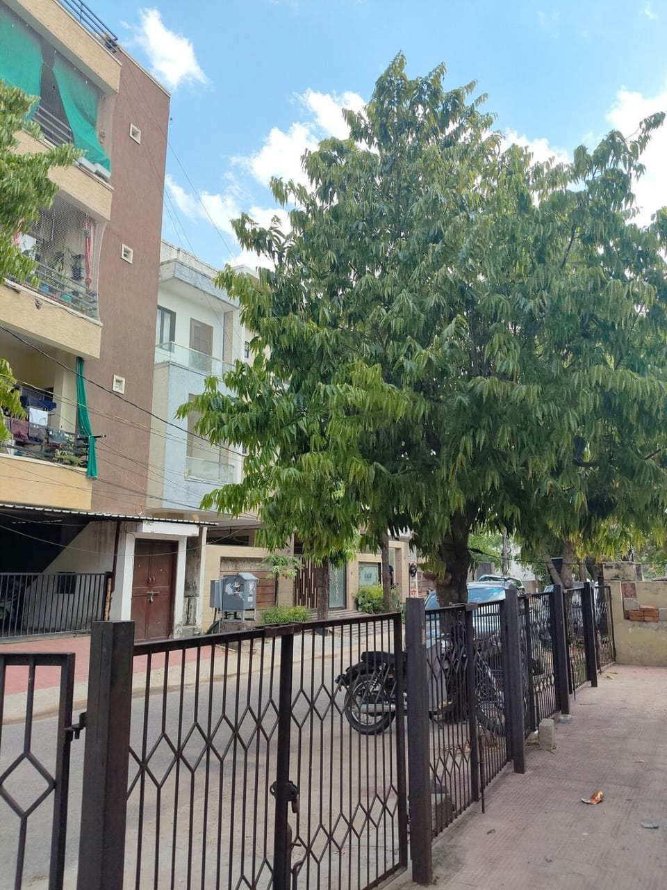 Neighbourhood, Street view, Parking