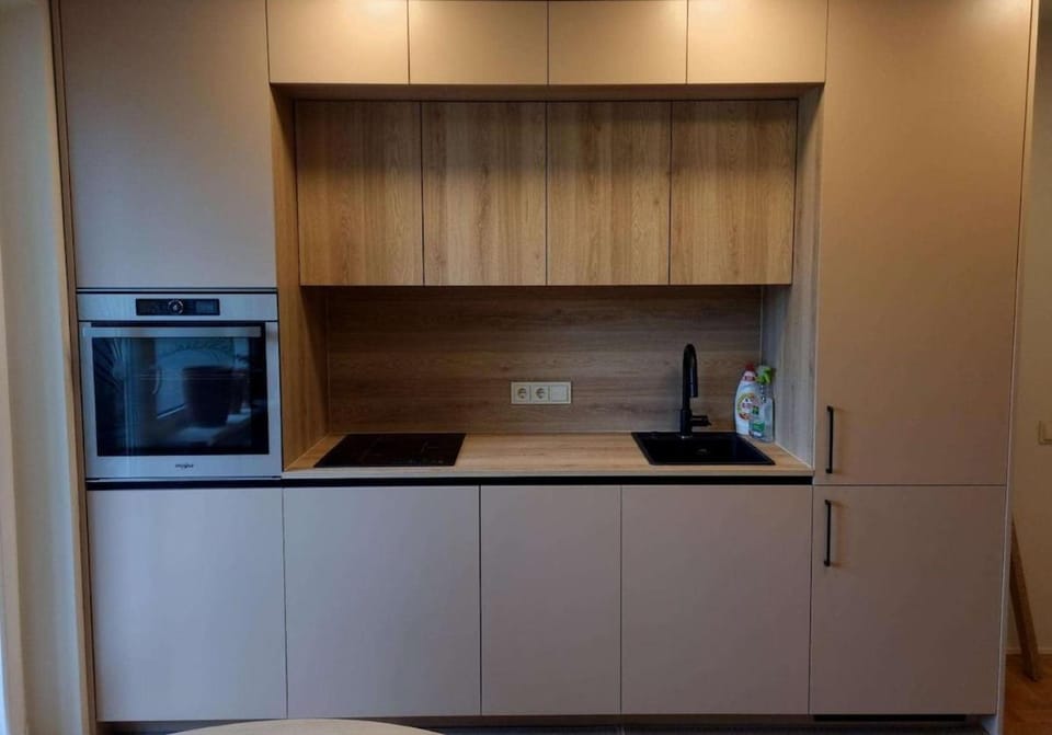 S1 Vilnius Apartment in Vilnius