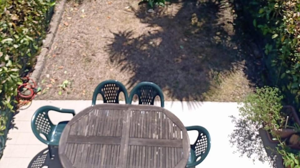 Day, Garden view