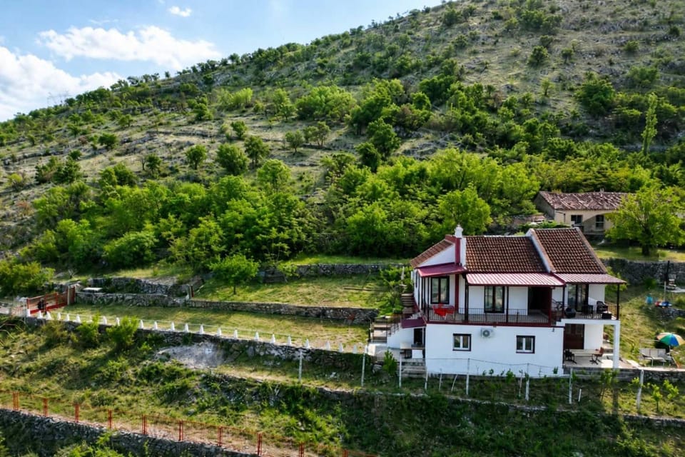 Villa Ivanovic Villa in Podgorica