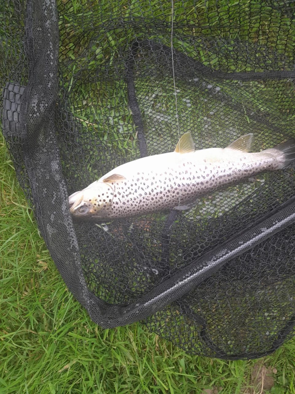 Stellplatz für Wohnwagen Wohnmobil Campground/ 
RV Resort in Eisenach