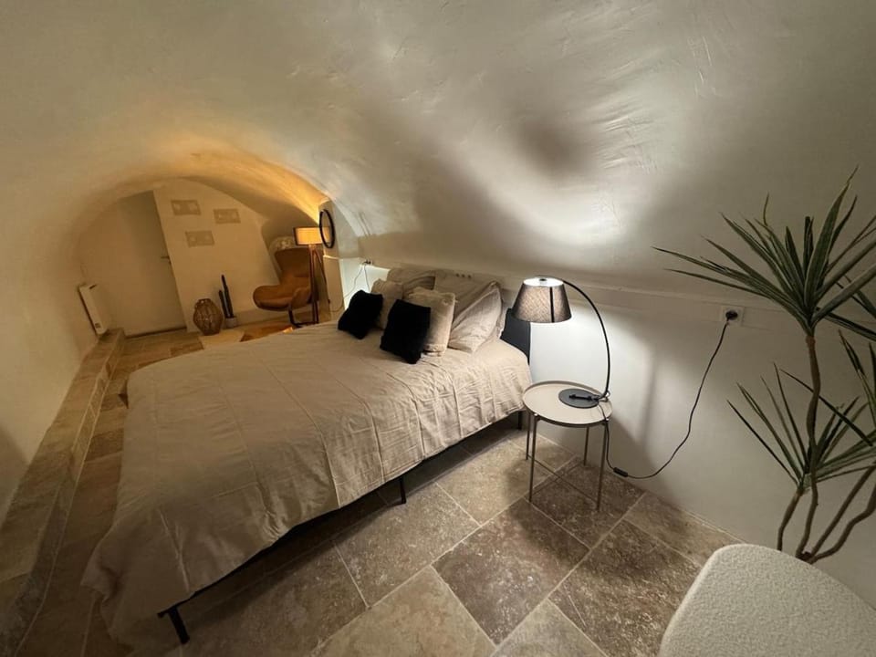 La Cave Médiévale des Chevaliers de St Jean Apartment in Aix-en-Provence