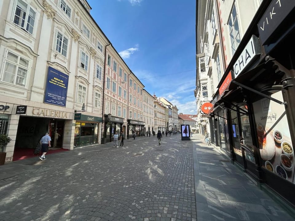 Charming Old Town Loft - Amazing location Apartment in Ljubljana