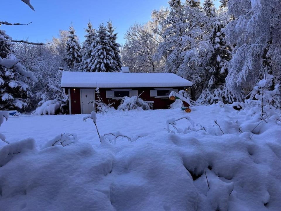 Little Pinecone Lodge a Cozy Forest Retreat Villa in Skåne County