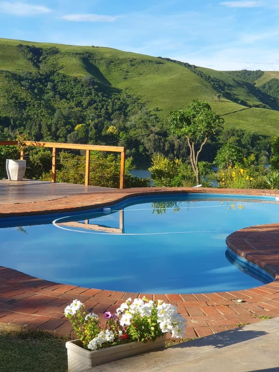 Pool view