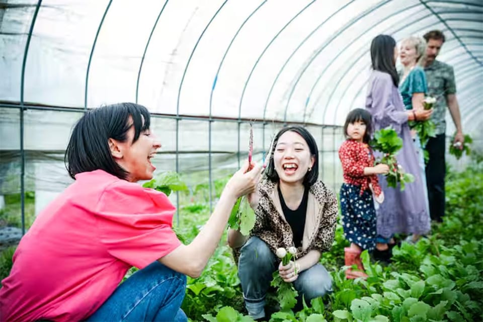 Cherie Farmstay - Rural Hiroshima, Family Friendly Farm Stay in Hiroshima Prefecture