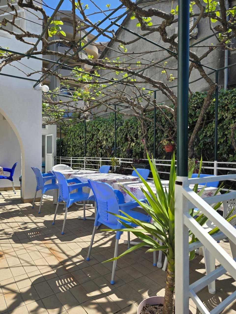 Balcony/Terrace, Kitchen or kitchenette