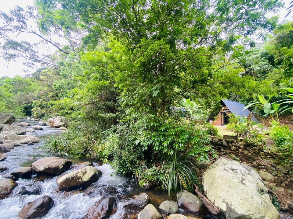 Nearby landmark, Day, Natural landscape, Garden, Garden view, River view