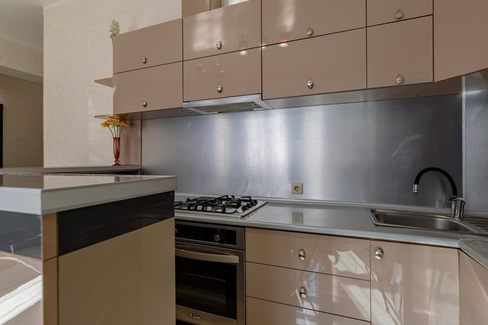Kitchen or kitchenette, dishwasher, minibar, stove