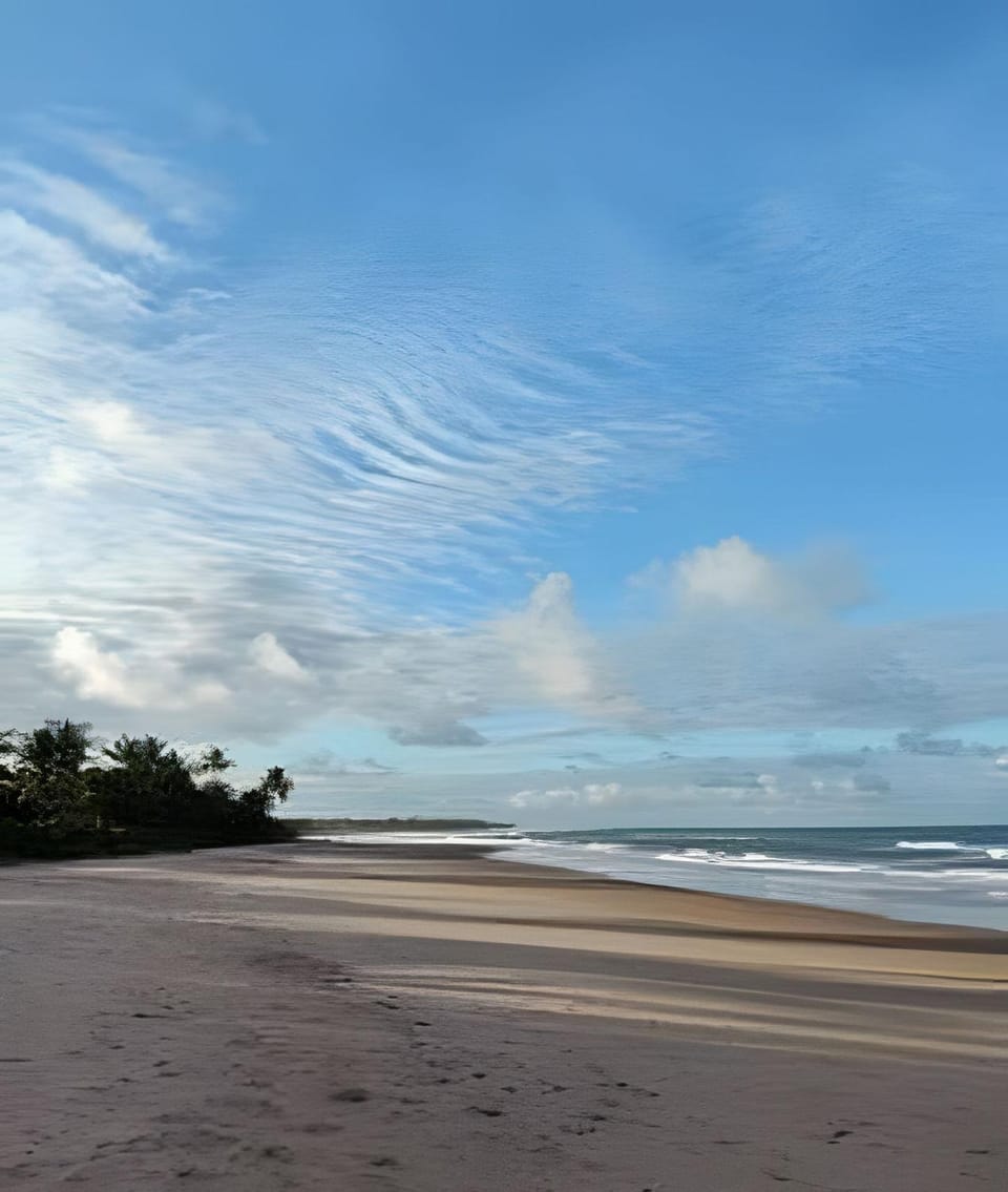 Licuri Praia de Algodões na beira do mar Apartment in State of Bahia