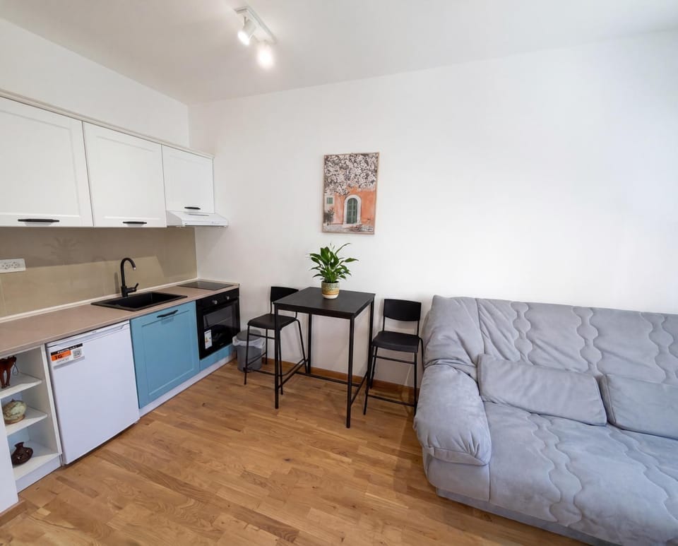 Nikic Adriatic Studio Apartment in Budva Municipality