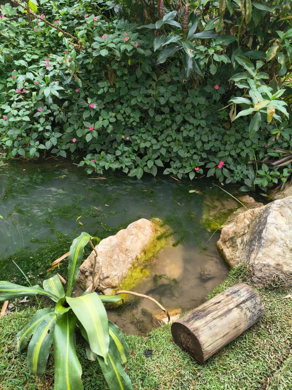 Hospedagem Natureza na Dutra canto dos pássaros House in State of Rio de Janeiro