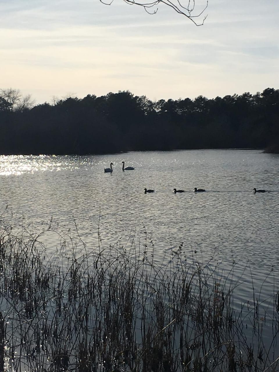 Hamptons Retreat in Quogue with Pool & Tennis - 90min from NYC House in Quogue