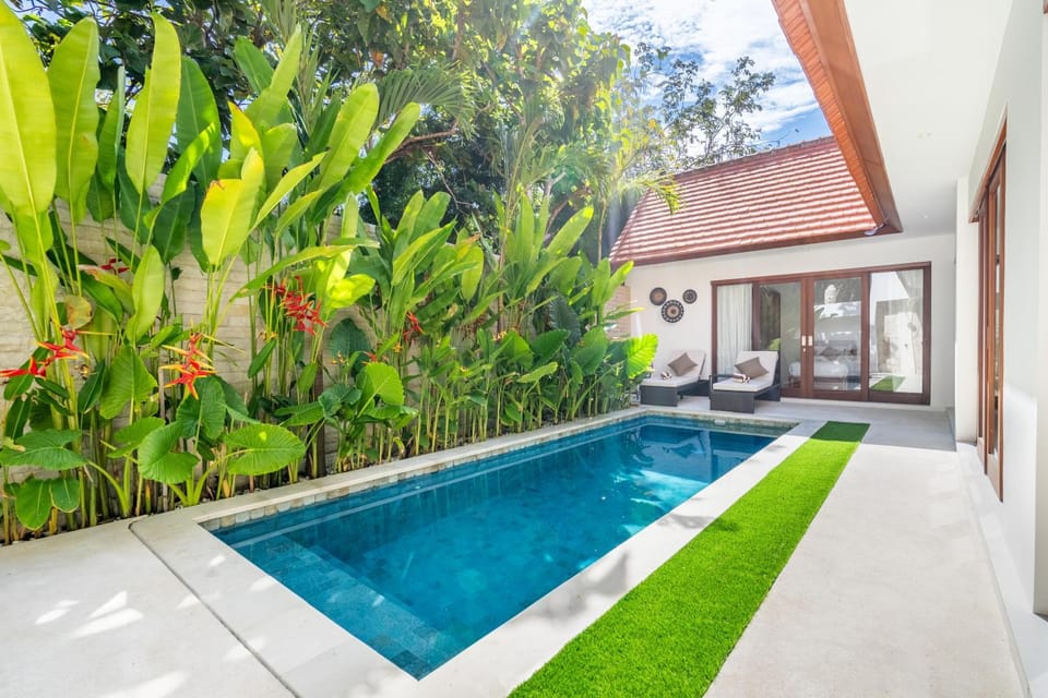 Patio, Garden, Garden view, Pool view, Swimming pool, sunbed