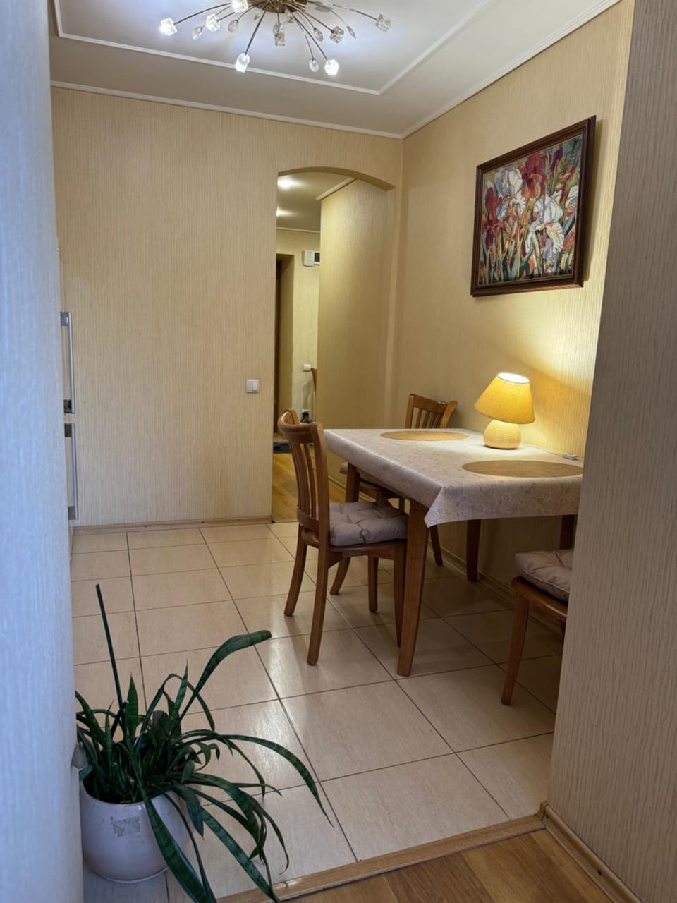 One bedroom king size center Apartment in Dnipro