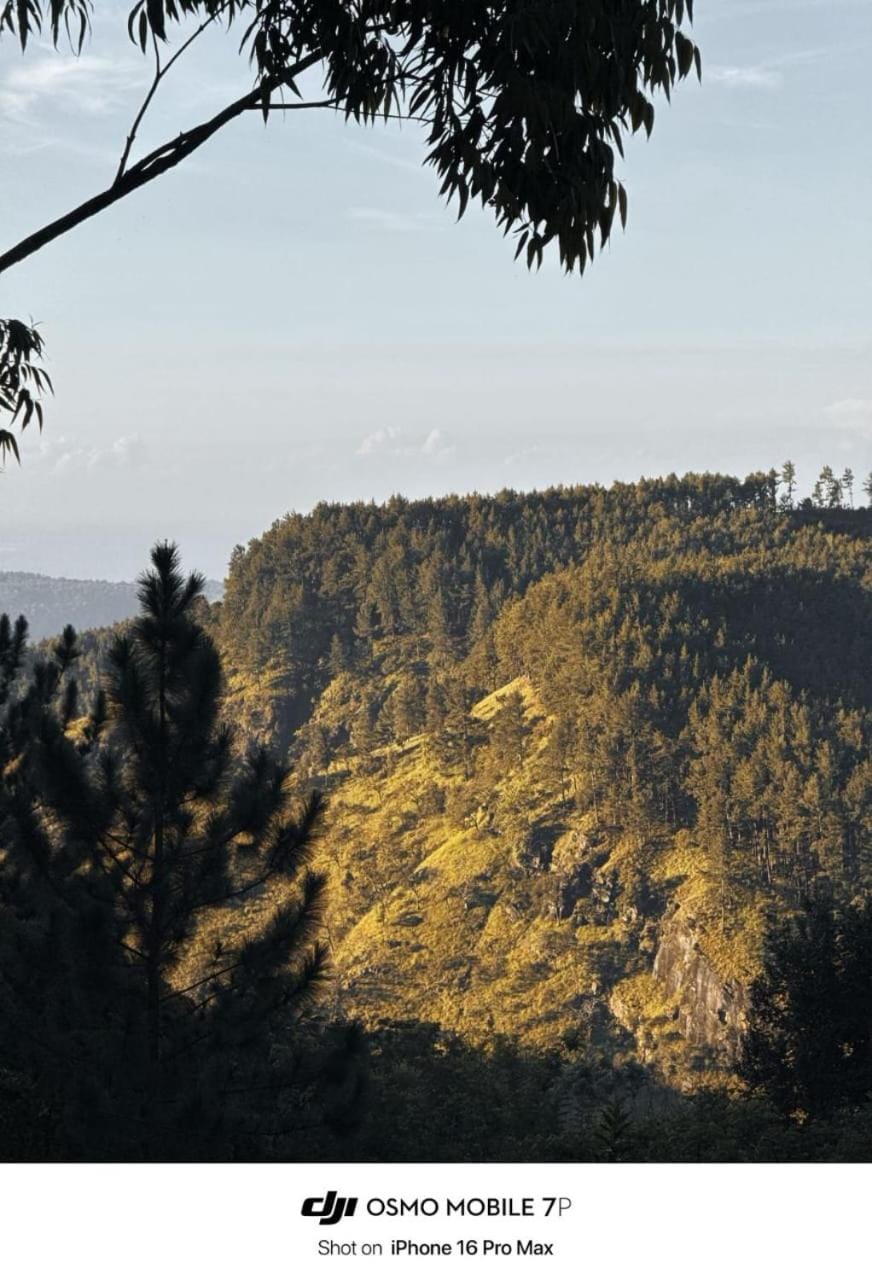 Mountain view