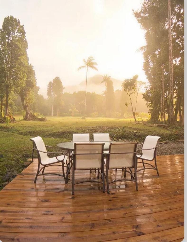 Garden view